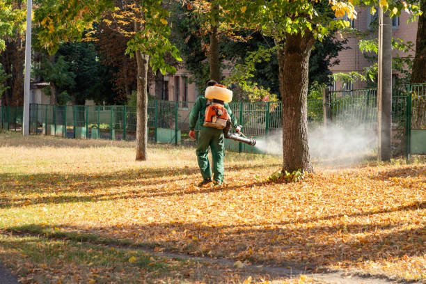 Best Mosquito Control Services  in Bradner, OH