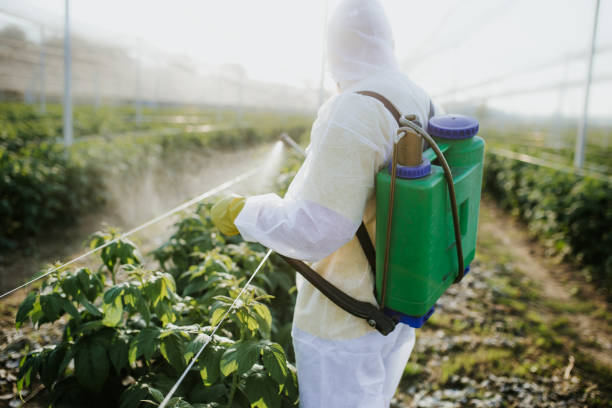 Trusted Bradner, OH Pest Control Experts